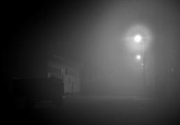 "Nuit et brouillard" 2016