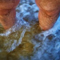 Water Feet One